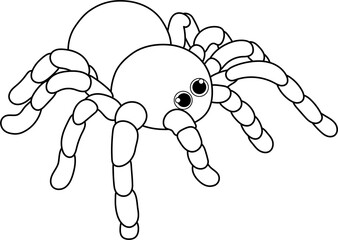 Spider coloring page illustration
