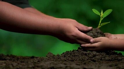 Planting trees, loving the environment and protecting nature Nourishing the plants World Environment Day To help the world look beautiful