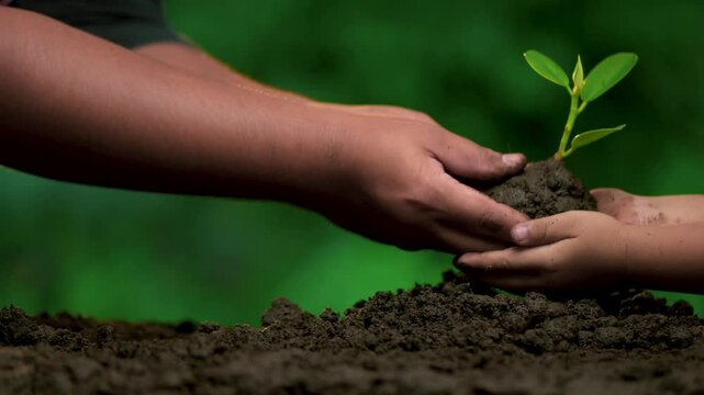 Planting trees, loving the environment and protecting nature Nourishing the plants World Environment Day To help the world look beautiful - Powered by Adobe