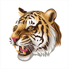 tiger head Vector