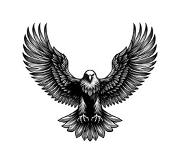 eagle line drawing - guilloche style (artwork 2)