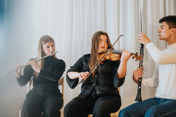 Group of musicians performing on various instruments including violin, flute, and clarinet,...