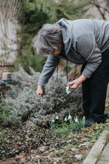 An elderly woman picking snowdrops in her garden, illustrating concepts of gardening, nature, and seasonal beauty, while demonstrating outdoor activity and interaction with plants.