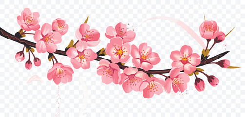 Beautiful Pink Cherry Blossom Branch Spring Flowers