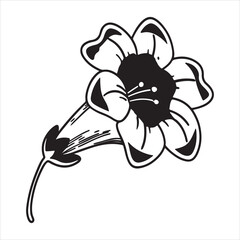 Golden Trumpet Flower – Tropical Beauty in Vivid Yellow Splendor