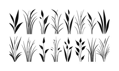 Obraz premium Vector illustration featuring a set of abstract grass tufts in a minimalist black line art style, each composed of sharp, curved, and jagged blade shapes, easily editable and scalable.