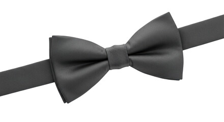 Isolated Black Bow Tie © Paul