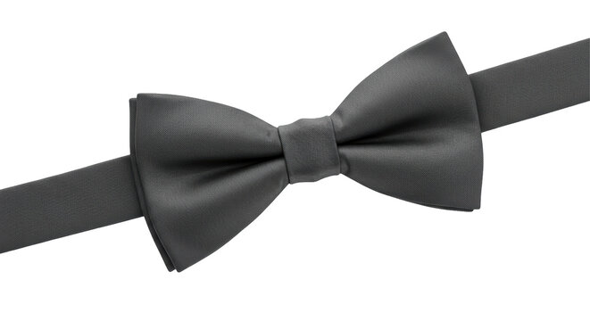 Isolated Black Bow Tie