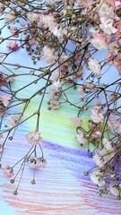 Delicate Baby’s Breath Flowers with Rainbow Crayon Background