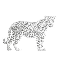 Stippling Leopard Illustration – Dotwork Vector Animal Drawing