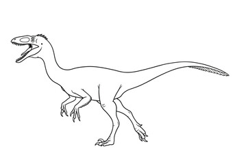 Fototapeta premium Pyroraptor drawing. It is a black and white outline image of a Pyroraptor, a bipedal carnivorous dinosaur with sharp claws and teeth. Vector sketch line art draw.