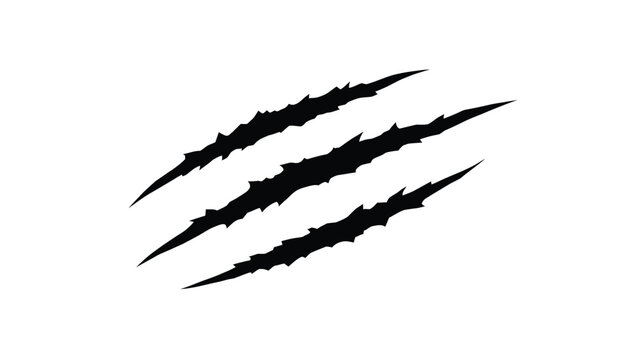  Cat claws scratches . vector illustration