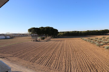 Paisaje castellano