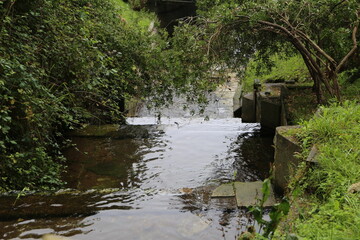 Río