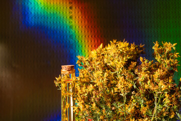 Hypericum - St. St. John's wort herbs, oil or infusion bottle, mortar on a wooden board.