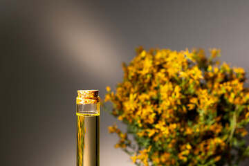 Hypericum - St. John's wort plants, oil or infusion bottle, mortar on a wooden board.