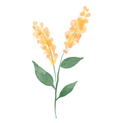 Watercolor flower illustration. Spring and Summer theme. Flower arrangements for wedding card.