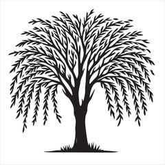 Obraz premium Willow Tree