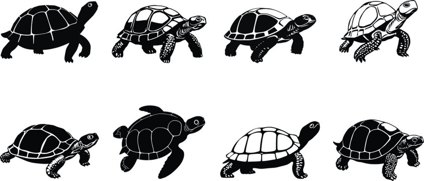 Set of Turtle and Tortoise Silhouettes - Vector Reptile Illustrations in Black and White