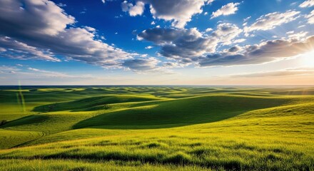 Obraz premium Expansive Open Landscape: Lush Green Grass Under Dramatic Blue Sky & Clouds