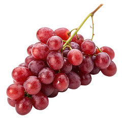 Fototapeta premium A grape bunch red isolated on a transparent background