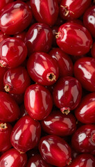 Artistic composition of berries in dense macro view with ruby transparency and reflections  