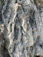 Textured Limestone Rock Surface