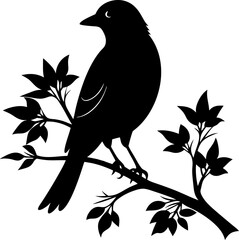 vector illustration of a bird