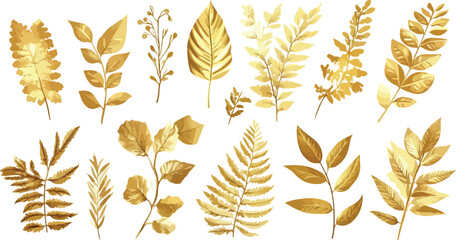 Elegant Golden Foliage Assortment A Collection of Stylized Golden Leaves and Ferns on a Clean White Background Perfect for Botanical Designs and Autumnal