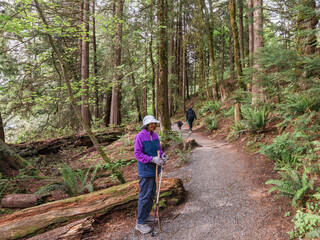 Senior resting on a BC forest hiking
 trail.
