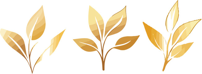 Obraz premium Elegant Gold Leaf Illustrations Three Distinct Sprigs with Varied Leaf Arrangements and Subtle Shading Perfect for Botanical Designs and Natural Element Accents on
