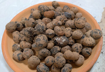 Fine expanded clay for indoor potted plants, home flower transplanting, home gardening, Potting Houseplants, replanting zamiokulkas