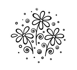 Hand drawn floral pattern with daisy, chamomile, wildflowers