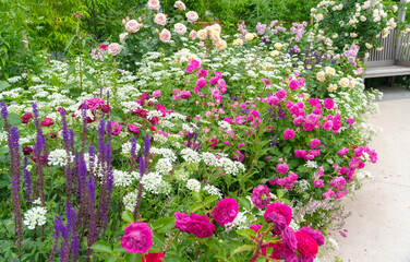 バラやオルレアなど様々な花が咲き乱れる庭園の花壇。　A flowerbed in the garden where various flowers such as roses and orlaya bloom in abundance.
