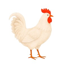 Freehand minimalistic watercolor illustration of a chicken isolated on a white background. Hand drawn a child's  watercolour drawing of a chick. Farm animal for design. Cock, cockerel