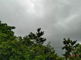 Obraz premium photo of cloudy sky above trees