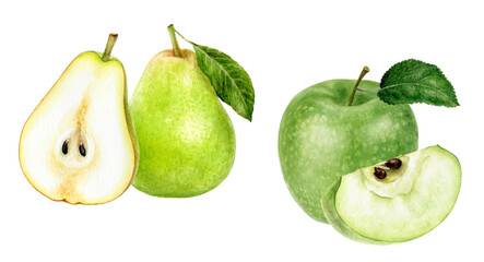 Watercolor Green Apple and Pear Illustration, Fresh Fruit Pairing