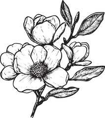 Magnolia flower sketch engraving vector illustration. Scratch board style imitation. Black and white hand drawn image.