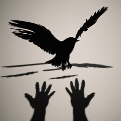 hand shadows Flying Bird 