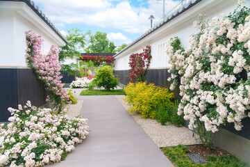 日本の古都をイメージした庭園。（神奈川県綾瀬市 光綾公園「あやせローズガーデン」）　
A garden inspired by the ancient capital of Japan. 
(Ayase Rose Garden, Kouya Park, Ayase City, Kanagawa Prefecture)