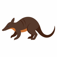 Vector illustration of a pangolin animal