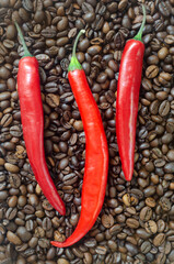 Three red chili peppers on a background of coffee beans. Concept of spicy coffee drinks. Vertical orientation. Selective focus. Top view