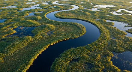 Aerial View of Serpentine River Flowing Through Lush Green Wetlands