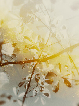 grunge floral background