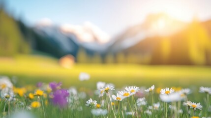Fototapeta premium Bright flowers bloom in a serene valley surrounded by majestic mountains