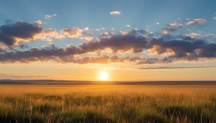 Fototapeta premium Endless flat prairie land with golden grasses stretching to the horizon lit warmly by the first rays of sunrise breaking through scattered low clouds
