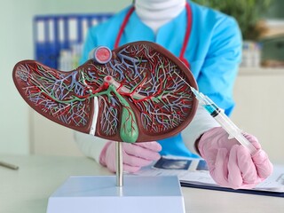 Liver anatomy model with injection syringe. Injections and treatment in the liver concept