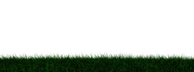 Grass transparent illustration background field