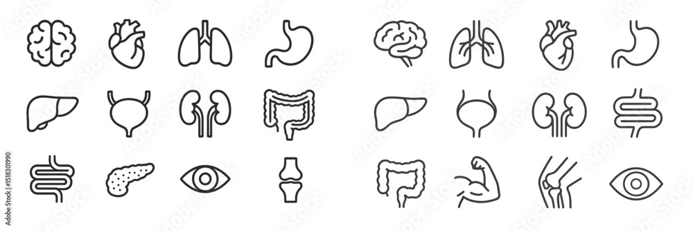 Poster Colored outline icons of human organs and systems arranged in a grid format for educational and health purposes in a modern design