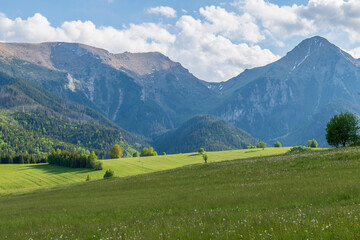 Blooming meadow with dandelions under the High Tatras near Ždiar, Slovakia. Majestic peaks rise...